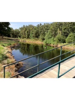 Blast, 125,000 Gallon, 12 Packets 5 Blast, 125,000 Gallon, 12 Packets -Deals Garden Decor Store 37425 002v 1