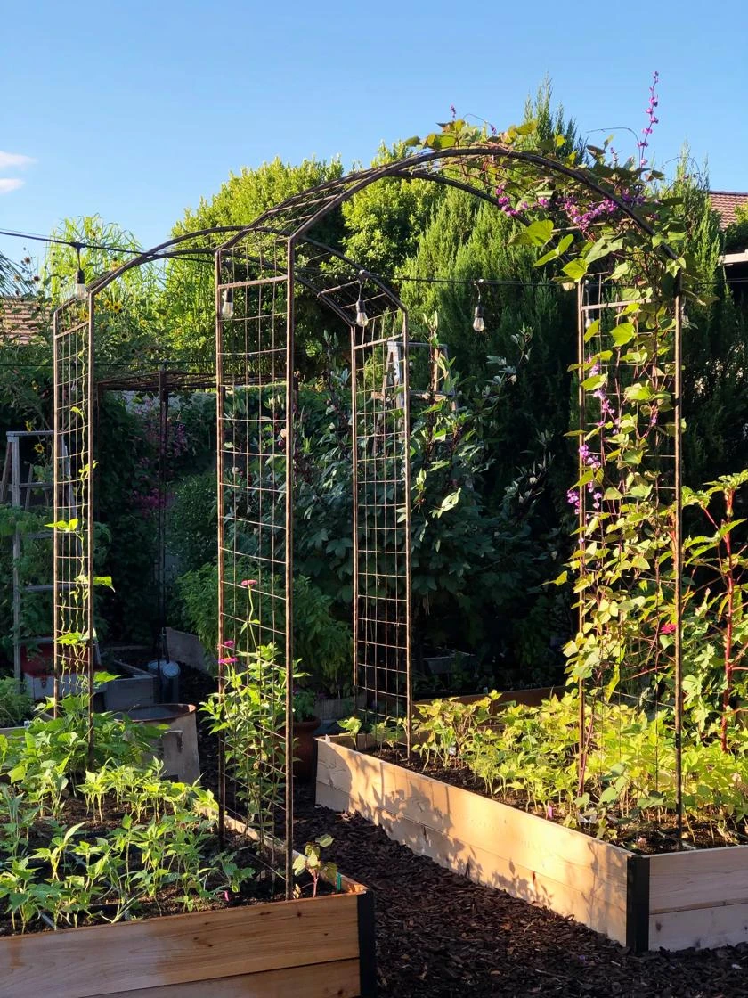 Jardin Rose Arch 2 Jardin Rose Arch - Image 2