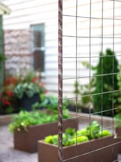 Jardin Rose Arch 8 Jardin Rose Arch -Deals Garden Decor Store 38690 9948 tif