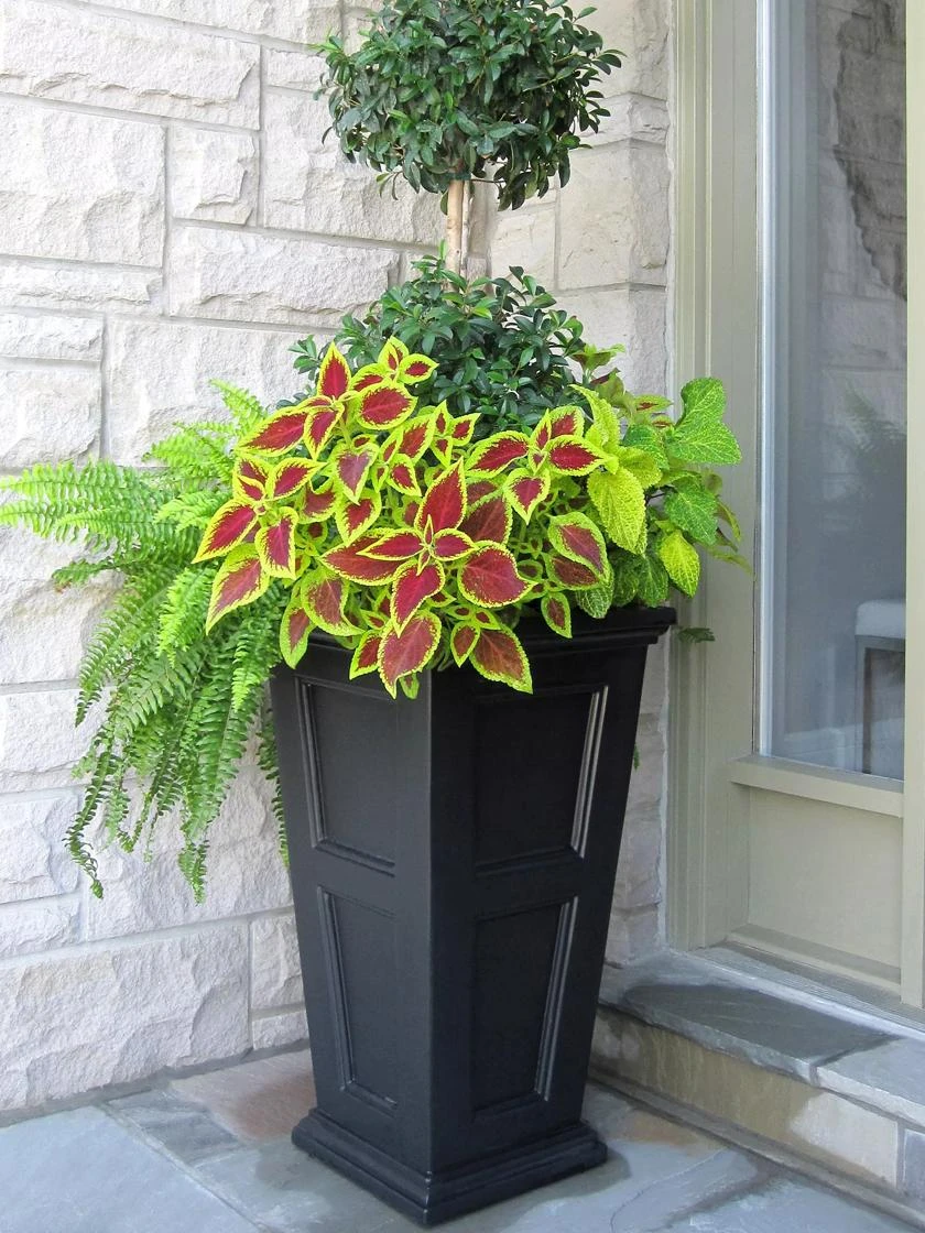 Fairfield Self-Watering Tall Patio Planters, 28” 5 Fairfield Self-Watering Tall Patio Planters, 28” - Image 5