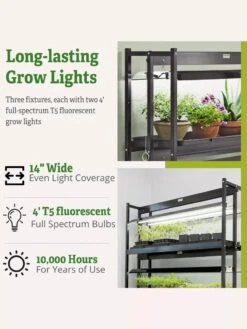 3-Tier Sunlite® Garden 12 3-Tier Sunlite® Garden -Deals Garden Decor Store 39 357 66