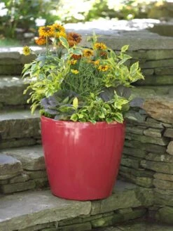 Viva Round Self-Watering Rolling Planter, 17.25” Diameter -Deals Garden Decor Store 39326 046 tif