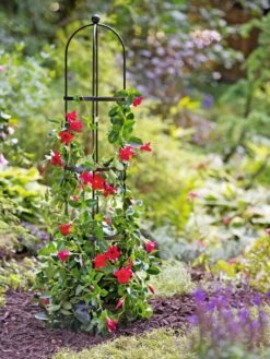 Essex Round Trellises -Deals Garden Decor Store 39544 2267 tif