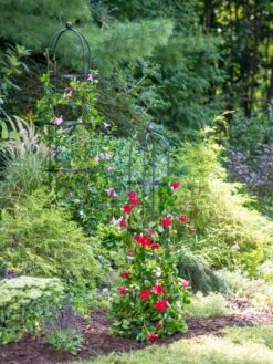 Essex Round Trellises -Deals Garden Decor Store 39545 2286 tif