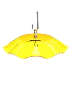 Birds Choice Weather Guard Feeder Cover -Deals Garden Decor Store 3 4 crop 8608735 25V