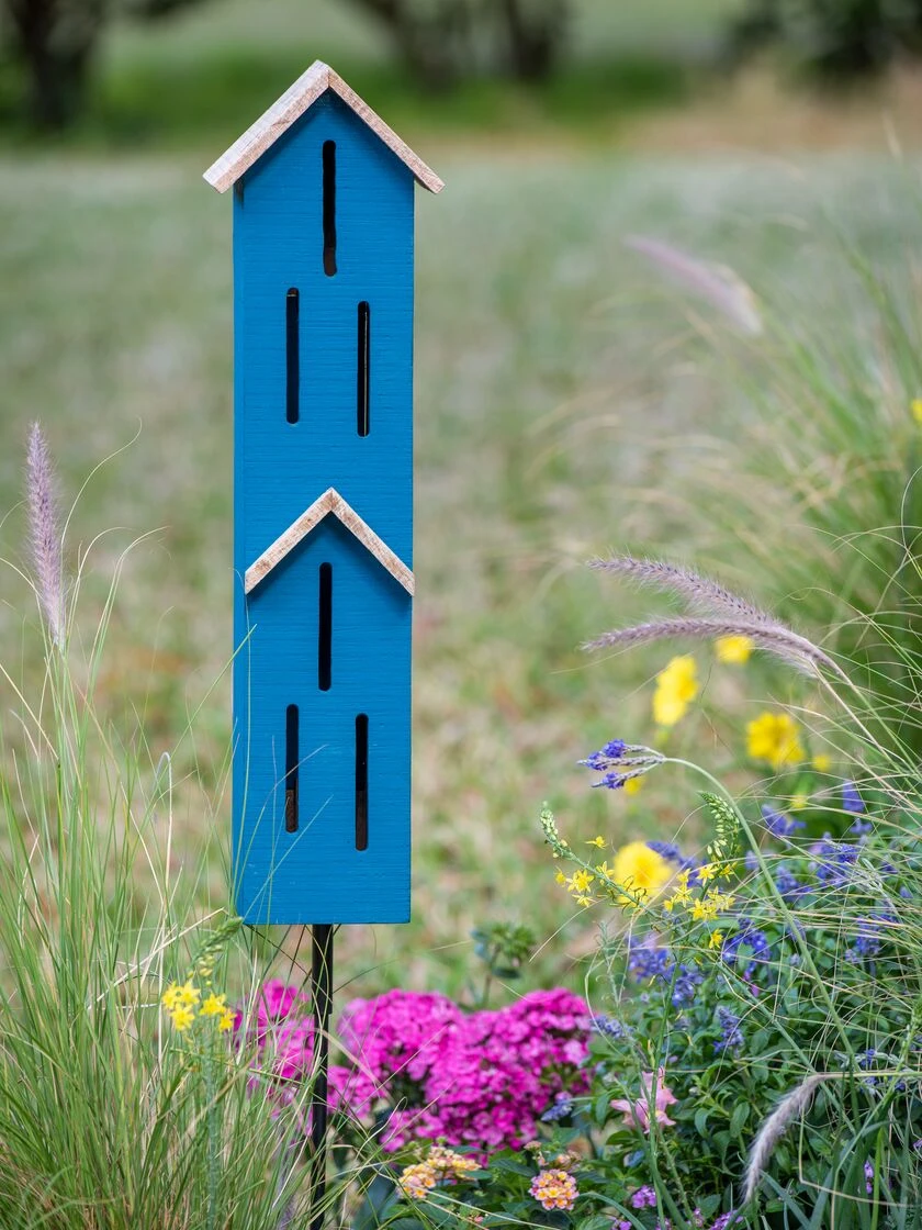 Butterfly Townhouse Shelter 4 Butterfly Townhouse Shelter - Image 4