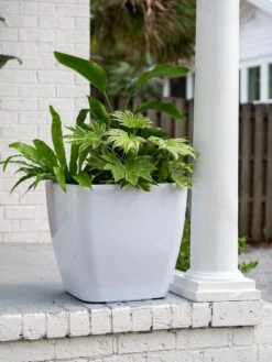 Viva Square Self-Watering Rolling Planter, 20" Diameter, Set Of 2 17 Viva Square Self-Watering Rolling Planter, 20" Diameter, Set Of 2 -Deals Garden Decor Store 3 4 crop 8612930 0033 tif