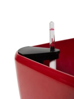 Viva Square Self-Watering Rolling Planter, 20" Diameter, Set Of 2 19 Viva Square Self-Watering Rolling Planter, 20" Diameter, Set Of 2 -Deals Garden Decor Store 3 4 crop 8612930 0107