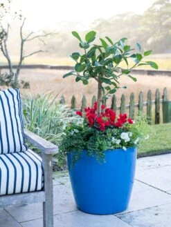 Viva Round Self-Watering Rolling Planter, 20" Diameter, Set Of 2 -Deals Garden Decor Store 3 4 crop 8612933 5312 tif