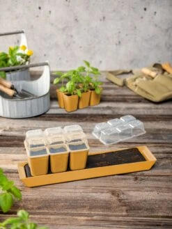 Gardener's Best® Humidity Dome, Set Of 2 -Deals Garden Decor Store 3 4 crop 8613067 10063