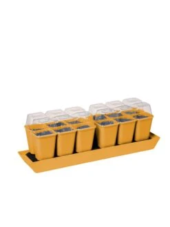 Gardener's Best® Humidity Dome, Set Of 2 -Deals Garden Decor Store 3 4 crop 8613067 5879 tif