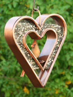 Heart Fly-Thru™ Bird Feeder 11 Heart Fly-Thru™ Bird Feeder -Deals Garden Decor Store 3 4 crop 8613534 04v
