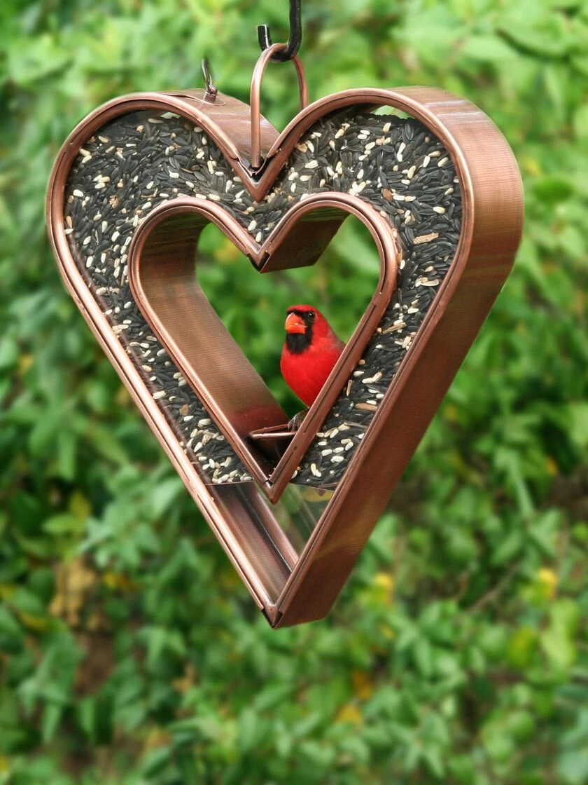 Heart Fly-Thru™ Bird Feeder 2 Heart Fly-Thru™ Bird Feeder - Image 2