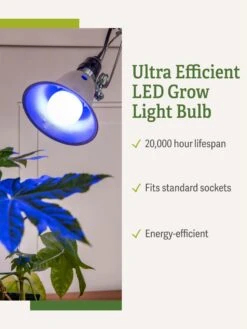 Miracle LED® Grow Light Bulb, Blue -Deals Garden Decor Store 3 4 crop Miracle Bulb Blue 1