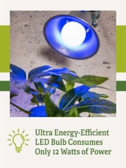 Miracle LED® Grow Light Bulb, Blue -Deals Garden Decor Store 3 4 crop Miracle Bulb Blue 2