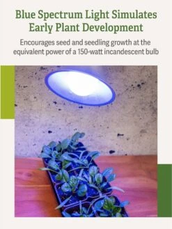 Miracle LED® Grow Light Bulb, Blue -Deals Garden Decor Store 3 4 crop Miracle Bulb Blue 3