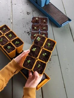 Gardener's Best® XL Seed Starting Kit 19 Gardener's Best® XL Seed Starting Kit -Deals Garden Decor Store 40 135 6186