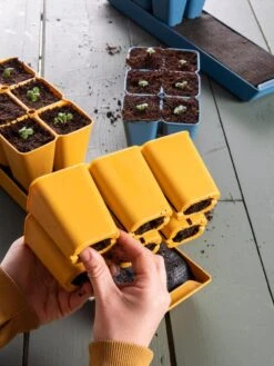 Gardener's Best® XL Seed Starting Kit 21 Gardener's Best® XL Seed Starting Kit -Deals Garden Decor Store 40 135 6188