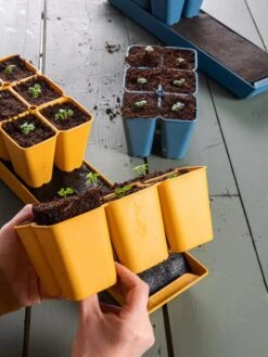 Coco Coir Seed Starting Mix -Deals Garden Decor Store 40 135 6192