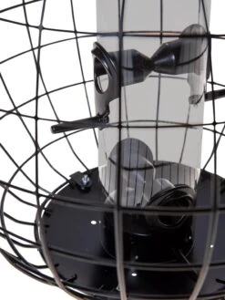 Mixed Seed Globe Cage Feeder -Deals Garden Decor Store 8586659 6400