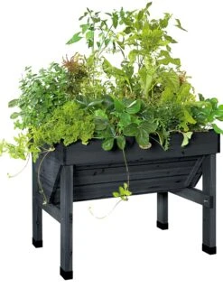 Compact VegTrug® Patio Garden 7 Compact VegTrug® Patio Garden -Deals Garden Decor Store 8586919 001 tif