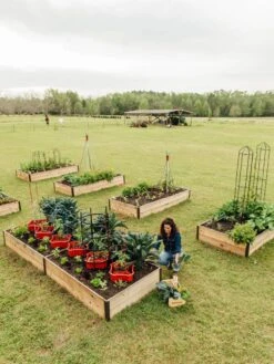 Deep Root Raised Beds, 14" Deep 4' Wide -Deals Garden Decor Store 8587813 505 tif