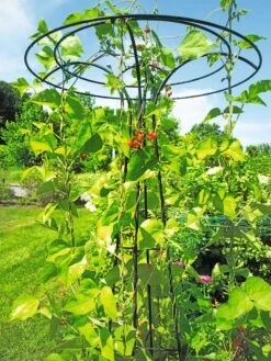 Essex Tuteur, 78" 10 Essex Tuteur, 78" -Deals Garden Decor Store 8587861 100 tif