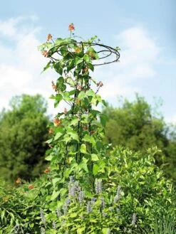 Essex Tuteur, 78" 9 Essex Tuteur, 78" -Deals Garden Decor Store 8587861 4160 tif