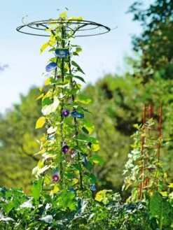 Essex Tuteur, 78" 11 Essex Tuteur, 78" -Deals Garden Decor Store 8587861 5028 tif