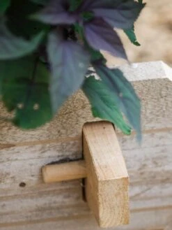 Farmstead Cedar Raised Garden Beds, 2' 14 Farmstead Cedar Raised Garden Beds, 2' -Deals Garden Decor Store 8588144 12V tif