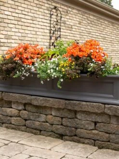 Fairfield Self-Watering Window Box, 5’ -Deals Garden Decor Store 8588938 105V tif