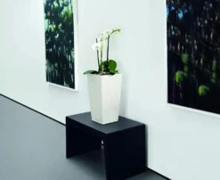 Lechuza® Cubico Color Tall Self-Watering Planters 8 Lechuza® Cubico Color Tall Self-Watering Planters -Deals Garden Decor Store 8589485 03V tif