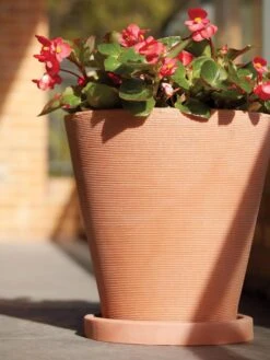 Universal Round Planter Saucers -Deals Garden Decor Store 8589526 001V tif