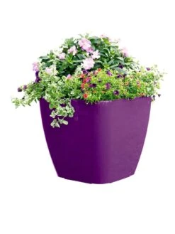 Viva Square Self-Watering Rolling Planter, 17.5" Diameter -Deals Garden Decor Store 8589778PR 6126 tif