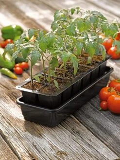 Growease Seed Starter Kit -Deals Garden Decor Store 8589988 1056 tif