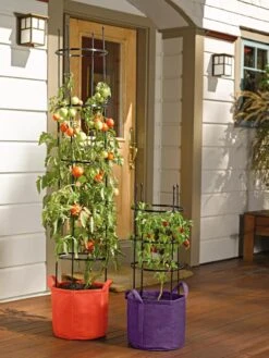 Gardener's Best® Tomato Grow Bag Set 7 Gardener's Best® Tomato Grow Bag Set -Deals Garden Decor Store 8590013 170 tif