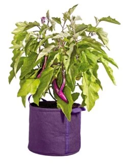 Gardener's Best® Universal Grow Bag 10 Gardener's Best® Universal Grow Bag -Deals Garden Decor Store 8590024PR 214 tif