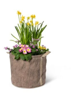 Gardener's Best® Universal Grow Bag 13 Gardener's Best® Universal Grow Bag -Deals Garden Decor Store 8590024 7307 tif