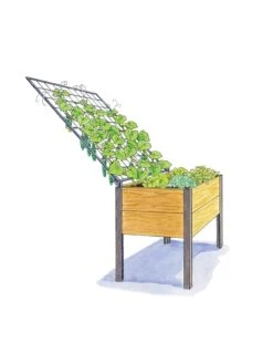 Elevated Planter Box And Space-Maker Pivoting Trellis Set, 2' X 4' 7 Elevated Planter Box And Space-Maker Pivoting Trellis Set, 2' X 4' -Deals Garden Decor Store 8590247 SMTrellis 4ft tif