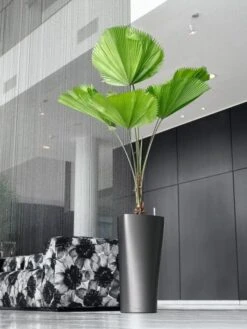 Lechuza® Delta Premium Self-Watering Planters -Deals Garden Decor Store 8590299 02V tif