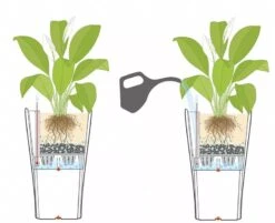 Lechuza® Delta Premium Self-Watering Planters -Deals Garden Decor Store 8590299 07V tif