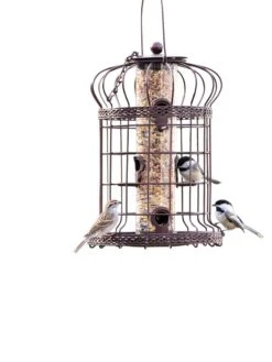 Edwardian Bird Feeder -Deals Garden Decor Store 8590897 200151 tif