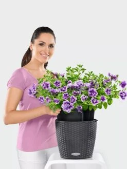 Lechuza® Nido Cottage Wicker Hanging Planter -Deals Garden Decor Store 8591154GT 006V tif