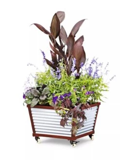 Galvanized Self-Watering Planters 7 Galvanized Self-Watering Planters -Deals Garden Decor Store 8592176 5067 tif