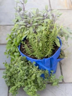 Deals Garden Decor Store -Deals Garden Decor Store 8592705 advice 1765 tif