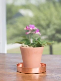 Extra Small Round Copper Plant Tray, 8" -Deals Garden Decor Store 8593528 4522 tif