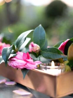 Rectangular Copper Plant Tray, 18"x4" 7 Rectangular Copper Plant Tray, 18"x4" -Deals Garden Decor Store 8593532 02IN tif