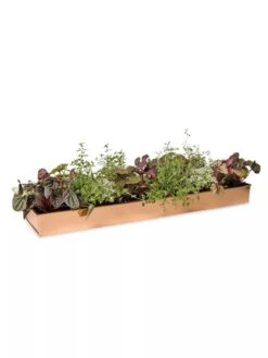 Rectangular Copper Plant Tray, 24" X 5" -Deals Garden Decor Store 8593533 2878 tif