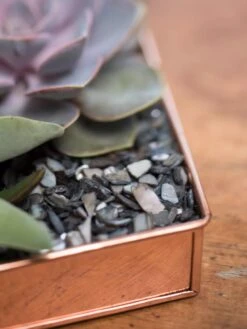 Rectangular Copper Plant Tray, 24" X 5" -Deals Garden Decor Store 8593533 4570 tif