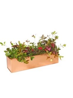 Tall Rectangular Copper Plant Tray, 18" X 5" X 4" -Deals Garden Decor Store 8593534 2899 tif